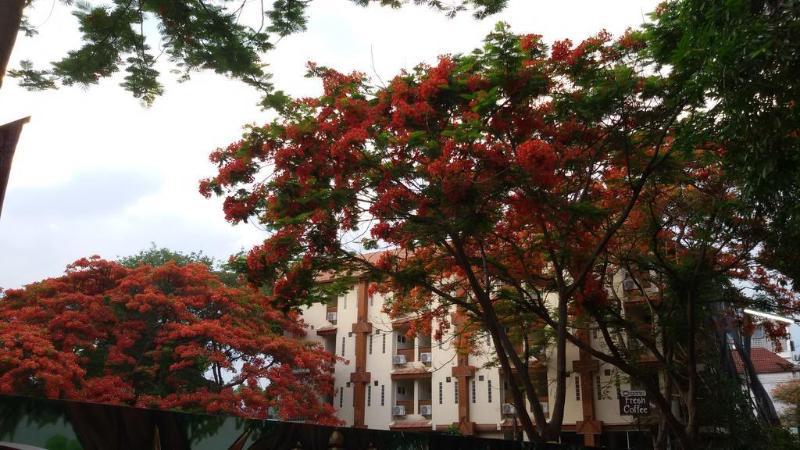 Your House 3 Guest House Chiang Mai Exterior foto