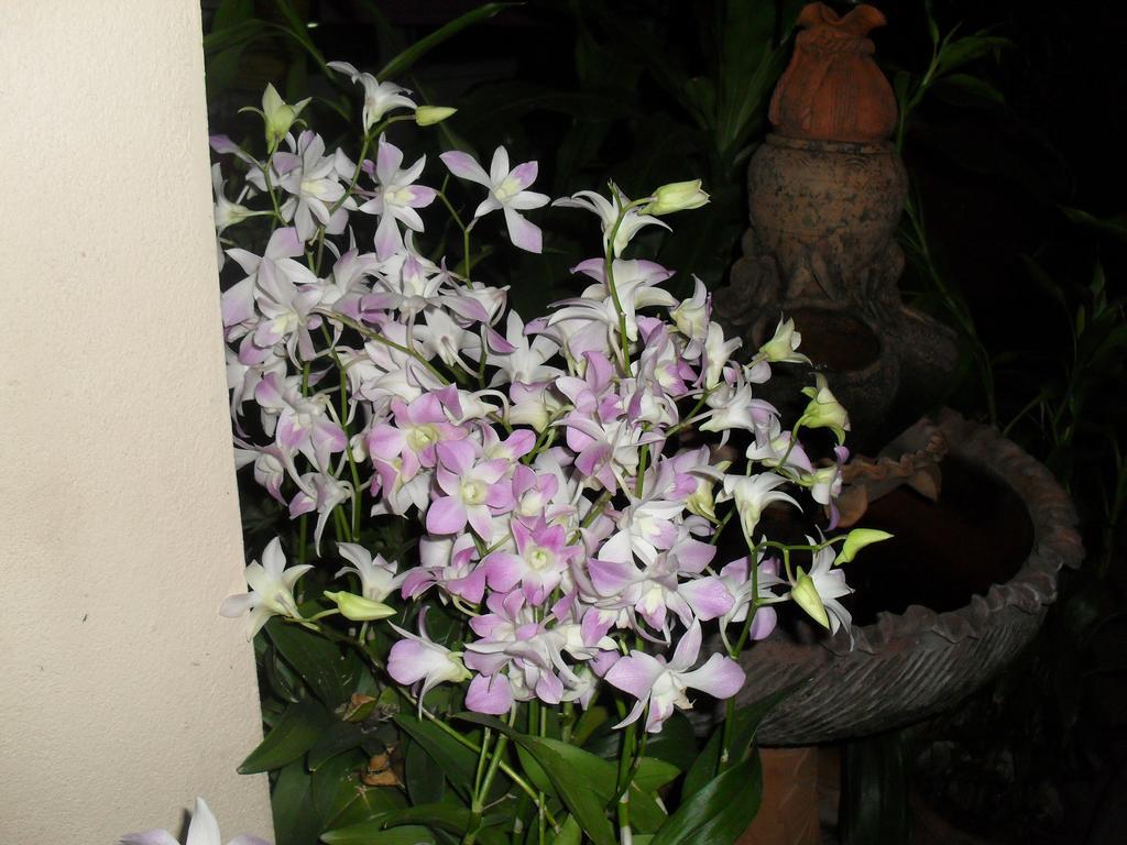 Your House 3 Guest House Chiang Mai Exterior foto